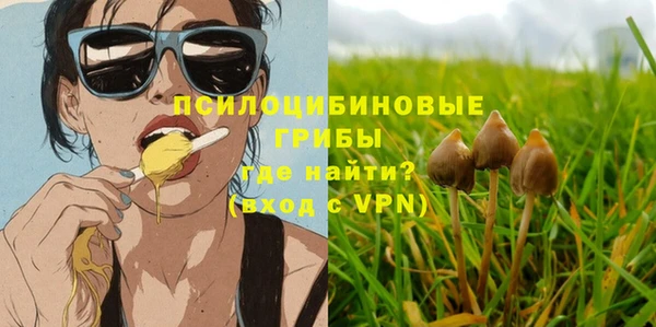 прущая мука Козловка