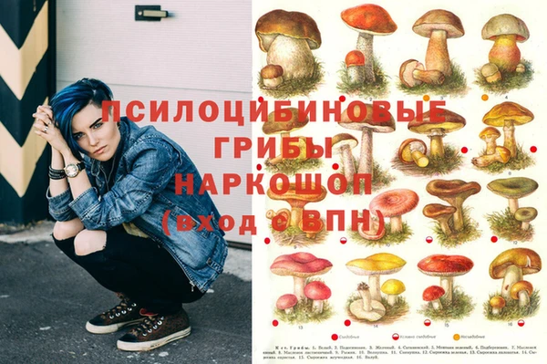 MESCALINE Кодинск