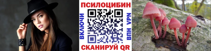 маркетплейс как зайти  Островной  Псилоцибиновые грибы Cubensis  цены  